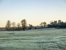 Embracing Frost