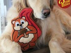 PrideBites PAWtner Announcement!