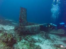 Scuba Diving Mactan: Exploring Coral Gardens Curious Artifact