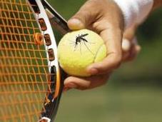 Here’s “Scent-sational” All-Natural Spray Keep Those Pesky Mosquitoes Away!