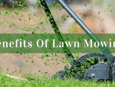 Benefits Lawn Mowing