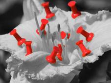 Guest Post: Pinterest: Should Keep Your Boards Industry Specific?