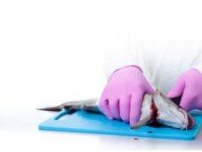 Gloves Should Chefs Wear Disposable Gloves?