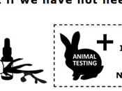 essays against animal testing essays against animal testing