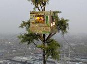 Most Precariously Placed Treehouses Earth