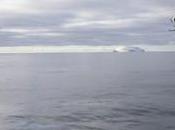 Missing Antarctic Yacht Update: Life Raft Discovered Adrift Southern Ocean