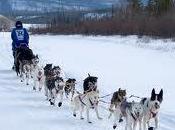 2011 Iditarod: Buser Leads Into Nikolai