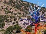 Painted Trees Mountains Colorado