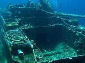 Seven Amazing Coral Reefs Made From Sunken Vehicles