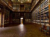 World's Largest Indoor Photograph