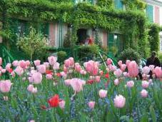 Flowering Calendar Claude Monet's Garden