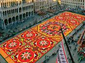 Flower Carpet Brussels