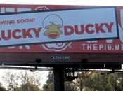 Piggly Wiggly Rebranding Lucky Ducky