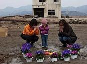 Japan's Earthquake: Month Later