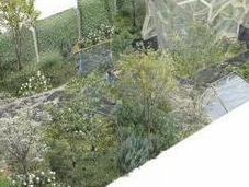 Times Eureka Garden Chelsea