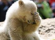 World-Famous Animals Captivity