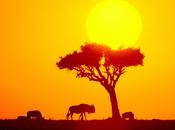 Free Planet DON'T GIVE