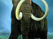 Woolly Mammoth Brought Back Life