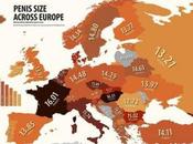 Size Guide: European Penis