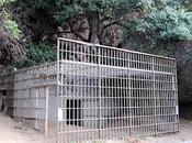 Creepiest Abandoned Zoos Earth