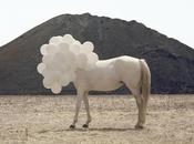 Photo: Andrea Galvani Think This Opposite a...