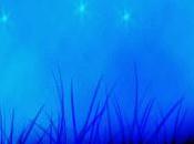 Journey Paradise.......