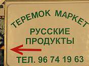 Applied General Principles Learning Russian Language