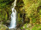 Postcard: Waterfall Near Boquete, Panama