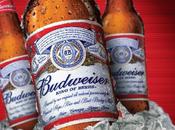 Beer Company Higher Ethical Standards Than Judiciary When Comes Domestic Violence