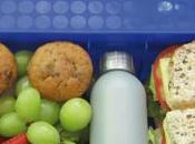 Keeping Foodborne Illness Lunchbox
