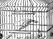 Droppings from Catholic Birdcage: "Catholics Have Difficulty Understanding Another Because There Many Places Left Where They Listen Another"