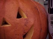 #pumpkinale Sort #carton #o-dub #njcb #drinklocal #craftbeer #beertography #fall #pumpkin #077XX