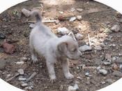 Saves Lives People Sadly Dies Electrocution....