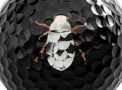 White Beetle Black Ball