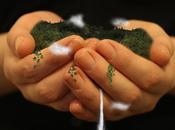 What World Environment Activities?