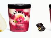 Fall Scoop Ciao Bella's Grown Sorbetto Gelato Treats