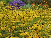 Colourful Kaleidoscope Loseley Park