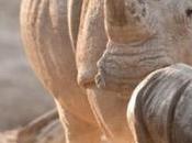 Talking Kids About Rhinos