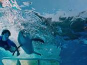 Dolphin Tale