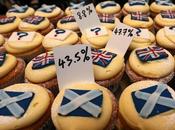 Scotland Cuckoo Cupcakes