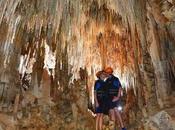 Tickets Yucatan's Attraction Secreto!