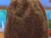 Beanie Alonzo Zucchini Cake