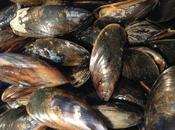 Mussels: Simple, Healthy, Très Bon!