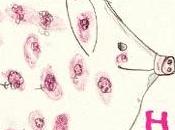 REWIND: Levellers 'Happy Birthday Revolution'