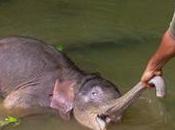 Global Biodiversity Targets Won’t 2020, Scientists