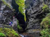 Watkins Glen State Park