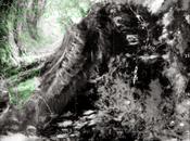 Cyclone Hudhud Batters Andhra Orissa