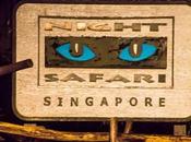 Singapore Night Safari: Worth