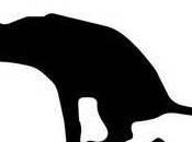 Bad, Sad: #LapDogMedia MSNBC Spiraling Down Ratings