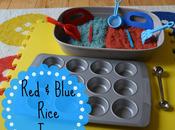 Blue Rice Tray